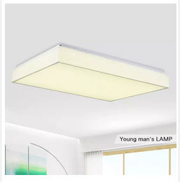 Trend Led Living Room Ceiling Lamp Rectangular Bedroom